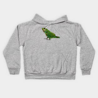 Amphibird Kids Hoodie